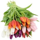 Tulpenstrauß Klassik Angebote bei REWE Wermelskirchen für 1,88 €