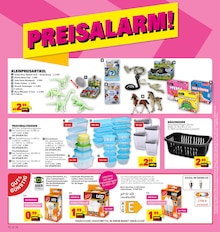 Pflanzen im aktuellen E center Prospekt (Ludwigshafen (Rhein)) Pflanzen im E center Prospekt "Aktuelle Angebote" mit 57 Seiten (Ludwigshafen (Rhein))