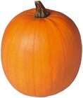 Halloween Kürbis Angebote von REWE Regional bei REWE Hattingen für 3,99 €