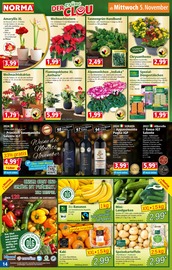 Weihnachtsstern im Norma Prospekt in Velbert Aktueller Norma Prospekt mit Weihnachtsstern, "Mehr fürs Geld", Seite 14