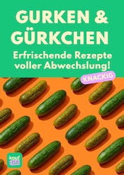 Rezepte Discounter Prospekt der aktuellen Woche mit 1 Seite, gültig von 03.07.2026 bis 20.07.2026, in Schwabmünchen und Umgebung Aktueller Rezepte Discounter Prospekt in Schwabmünchen und Umgebung, "Gurken" mit 1 Seite, 03.07.2026 - 20.07.2026