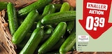 REWE Bad Sassendorf - Mini Gurke Angebot im Prospekt Mini Gurke bei REWE im Bad Sassendorf Prospekt für 0,39 €