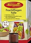 Fruchtfliegen-Falle bei GLOBUS im Castrop-Rauxel Prospekt für 3,99 €