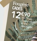 Promo Fougère cades à 12,90 € dans le catalogue Ambiance & Styles à Roncourt