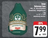 Junge Polnische Gans Hafermastgans im Angebot bei EDEKA in Bautzen Junge Polnische Gans Hafermastgans Angebote von Roldrob bei EDEKA Bautzen für 7,99 €