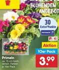 Primeln bei Netto Marken-Discount im Neunkirchen Prospekt für 3,99 €