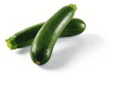 Zucchini für 0,99 € bei Lidl im Angebot Zucchini im aktuellen Lidl Prospekt