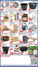 Braunkohlebriketts im Wreesmann Prospekt in Freiberg Aktueller Wreesmann Prospekt mit Braunkohlebriketts, "DEIN SAISON- & SONDERPOSTENMARKT!", Seite 7