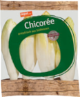 Aktuelles Chicorée Angebot bei tegut in Frankfurt (Main) ab 1,99 €