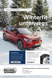 Volkswagen Prospekt für Dannenberg mit 1 Seite Volkswagen Prospekt "Auf ins Wintervergnügen" für Dannenberg, 1 Seite, 01.01.2025 - 28.02.2025