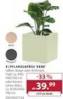 Aktuelles Pflanzgefäß Kebe Angebot bei Dehner Garten-Center in Düsseldorf ab 39,99 €