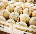 Melon Charentais en promo à 1,49 € chez Netto Melon Charentais dans le catalogue Netto