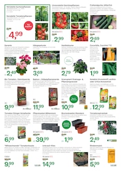 Aktueller BayWa AG Prospekt mit Gemüse, "Top-Angebote für einen farbenfrohen Frühling", Seite 3