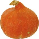 Deutschland Bio Speisekürbis Hokkaido Angebote von LS Regional bei EDEKA Beckum für 1,59 €