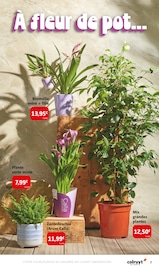 Jardinage Angebote im Prospekt "Farces & Attrapes" von Colruyt auf Seite 7