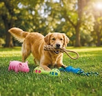 Hundespielzeug für 3,99 € bei Netto mit dem Scottie im Angebot Hundespielzeug im aktuellen Netto mit dem Scottie Prospekt