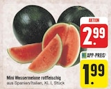 EDEKA Amorbach - Mini Wassermelone rotfleischig Angebot im Prospekt Mini Wassermelone rotfleischig bei EDEKA im Amorbach Prospekt für 1,99 €
