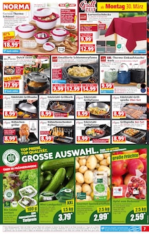 Tasche im Norma Prospekt "Mehr fürs Geld" mit 22 Seiten (München)