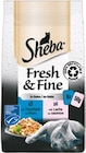 Fresh & Fine Katzennassnahrung von Sheba im aktuellen Netto mit dem Scottie Prospekt für 1,99 €