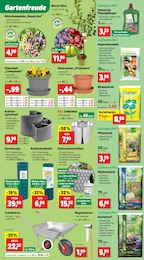 Thomas Philipps Blumenerde im Prospekt 