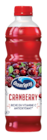 Jus de Cranberry - OCEAN SPRAY dans le catalogue Carrefour Market