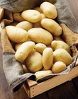 Intermarché Super Lambesc - Promo Pommes de Terre de Consommation Nouvelle Récolte Promo Pommes de Terre de Consommation Nouvelle Récolte à 1,99 € dans le catalogue Intermarché Super à Lambesc
