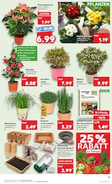 Aktueller Kaufland Prospekt mit Gartenerde, "UNSERE MEGA ANGEBOTE", Seite 15