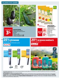 Offre Plante En Pot dans le catalogue Auchan Hypermarché du moment à la page 40