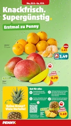 Mango Angebot im aktuellen Penny Prospekt auf Seite 4