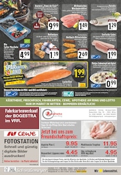 Aktueller EDEKA Prospekt mit Forelle, "Aktuelle Angebote", Seite 24