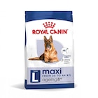 ROYAL CANIN SHN Maxi Ageing 8+ 15 kg - ROYAL CANIN - Maxi Zoo ROYAL CANIN SHN Maxi Ageing 8+ 15 kg - ROYAL CANIN à 79,19 € dans le catalogue Maxi Zoo