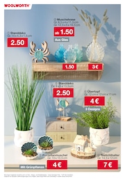 Blumentopf Angebot im aktuellen Woolworth Prospekt auf Seite 24