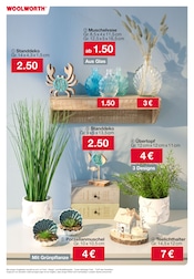 Ähnliche Zitronenbaum Angebote im Prospekt "Aktuelle Angebote" von Woolworth in Singen Ähnliche Angebote wie Zitronenbaum im Prospekt "Aktuelle Angebote" auf Seite 24 von Woolworth in Singen