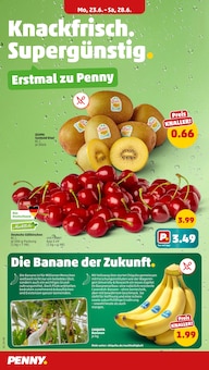 Penny Prospekt der KW 25 "Wer günstig will, muss Penny." Aktueller Penny Prospekt "Wer günstig will, muss Penny." Seite 2 von 37 Seiten