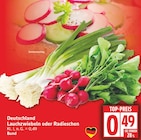 Lauchzwiebeln im EDEKA Prospekt Lauchzwiebeln von im aktuellen EDEKA Prospekt für 0,49 €