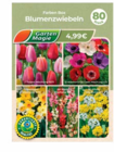 Blumenzwiebeln im Angebot bei Netto Marken-Discount in Falkensee Blumenzwiebeln Angebote von Garten Magie bei Netto Marken-Discount Falkensee für 0,99 €