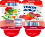 Frucht-Junior bei ALDI SÜD im Kastellaun Prospekt für 0,89 €