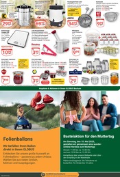 Tulpen im GLOBUS Prospekt in Bochum Aktueller GLOBUS Prospekt mit Tulpen, "Aktuelle Angebote", Seite 23