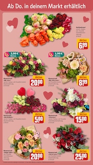 Pflanzen im REWE Prospekt "Dein Markt" mit 22 Seiten (Heidelberg)