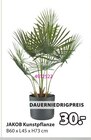 Aktuelles JAKOB Kunstpflanze Angebot bei JYSK in Essen ab 30,00 €