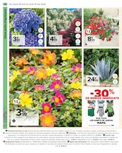 Promos Fleur En Pot dans le catalogue "EMBELLIR VOTRE EXTÉRIEUR AVEC NOS EXPERTS" de Carrefour à la page 6