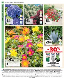 Promo Plante Grimpante dans le catalogue Carrefour du moment à la page 6