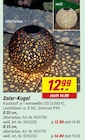 Aktuelle LED-Lampe Angebote bei toom Baumarkt in Dortmund Aktuelles Solar-Kugel Angebot bei toom Baumarkt in Dortmund ab 12,99 €