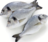 Daurade en promo chez Supermarchés Match Villeneuve-d'Ascq à 11,99 €