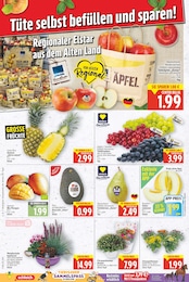 Blumen Angebot & Preis im aktuellen E center Prospekt Blumen Angebot im aktuellen E center Prospekt auf Seite 2
