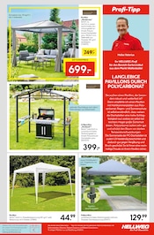 Gartenpavillon im Hellweg Prospekt in Langenhagen Aktueller Hellweg Prospekt mit Gartenpavillon, "Die Profi-Baumärkte", Seite 11