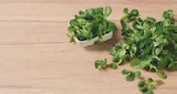 tegut... Bio-Feldsalat von demeter im aktuellen tegut Prospekt für 1,79 €
