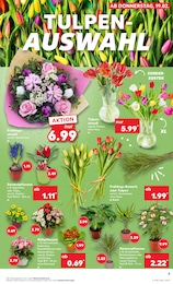 Grünpflanzen Angebot & Preis im aktuellen Kaufland Prospekt Grünpflanzen Angebot im aktuellen Kaufland Prospekt auf Seite 13