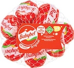 Mini Babybel Angebote von Babybel bei Netto Marken-Discount Delmenhorst für 2,99 €