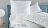 Kopfkissen „Softy-Kosmo Plus Bio“ im Angebot bei Möbel Mahler Siebenlehn in Hoyerswerda Kopfkissen „Softy-Kosmo Plus Bio“ Angebote von Paradies bei Möbel Mahler Siebenlehn Hoyerswerda für 29,00 €